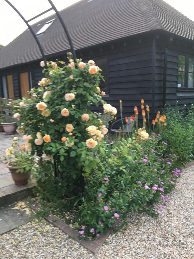 Little Orchard Cottage 坎特伯雷 外观 照片